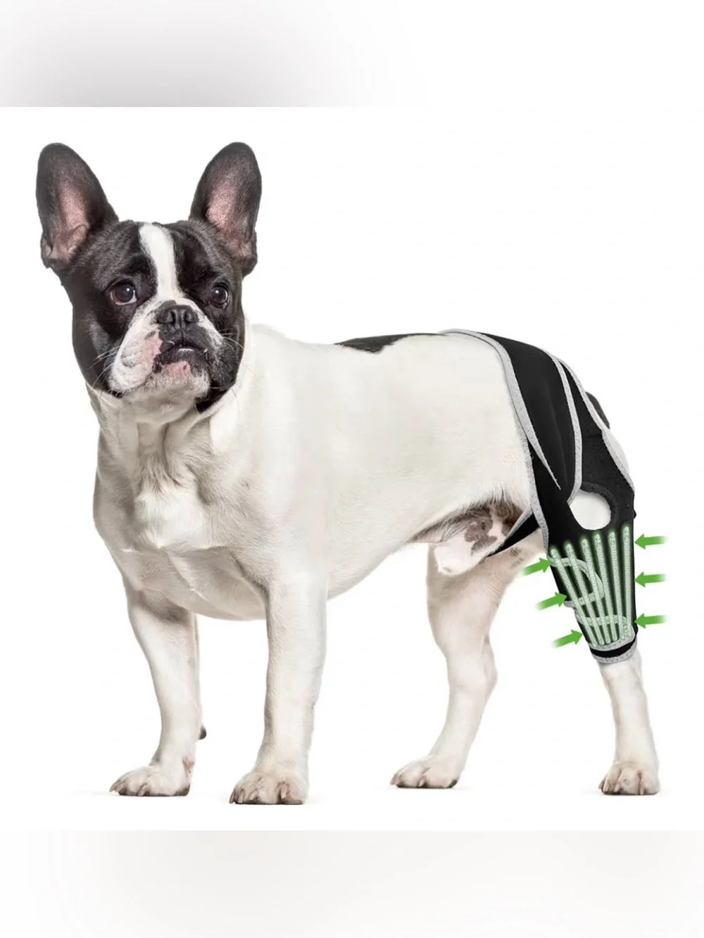 Kisfly Dog Knee Brace
